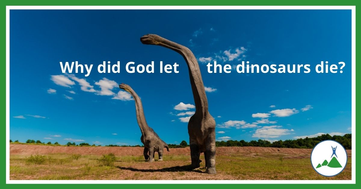 Why did God let the dinosaurs die?
