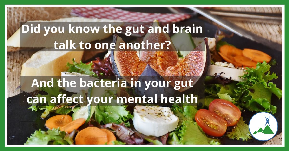 Healthy food healthy gut bacteria