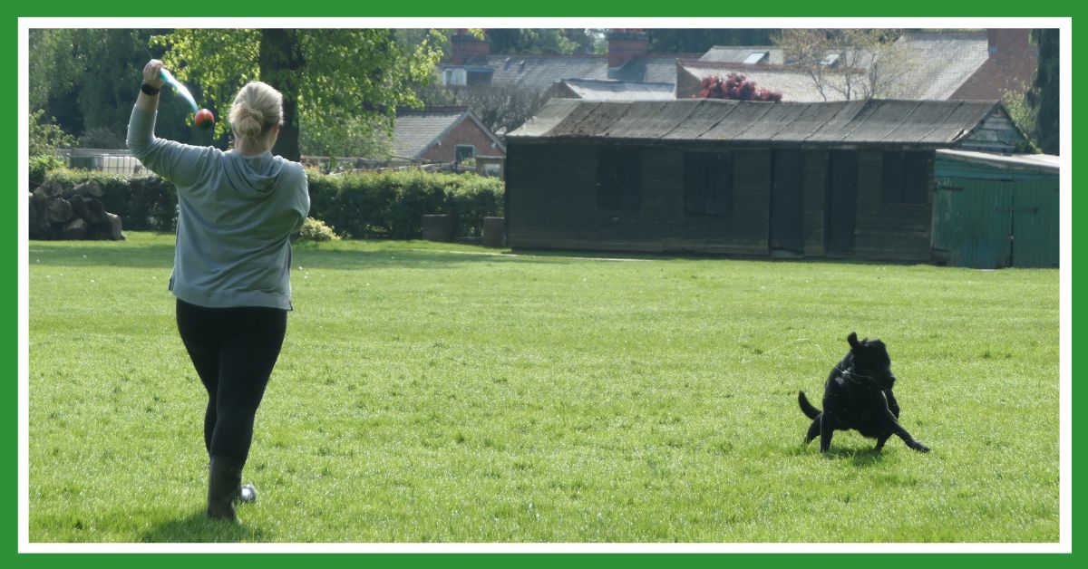 Moments for movement: woman throwing ball for dog in park