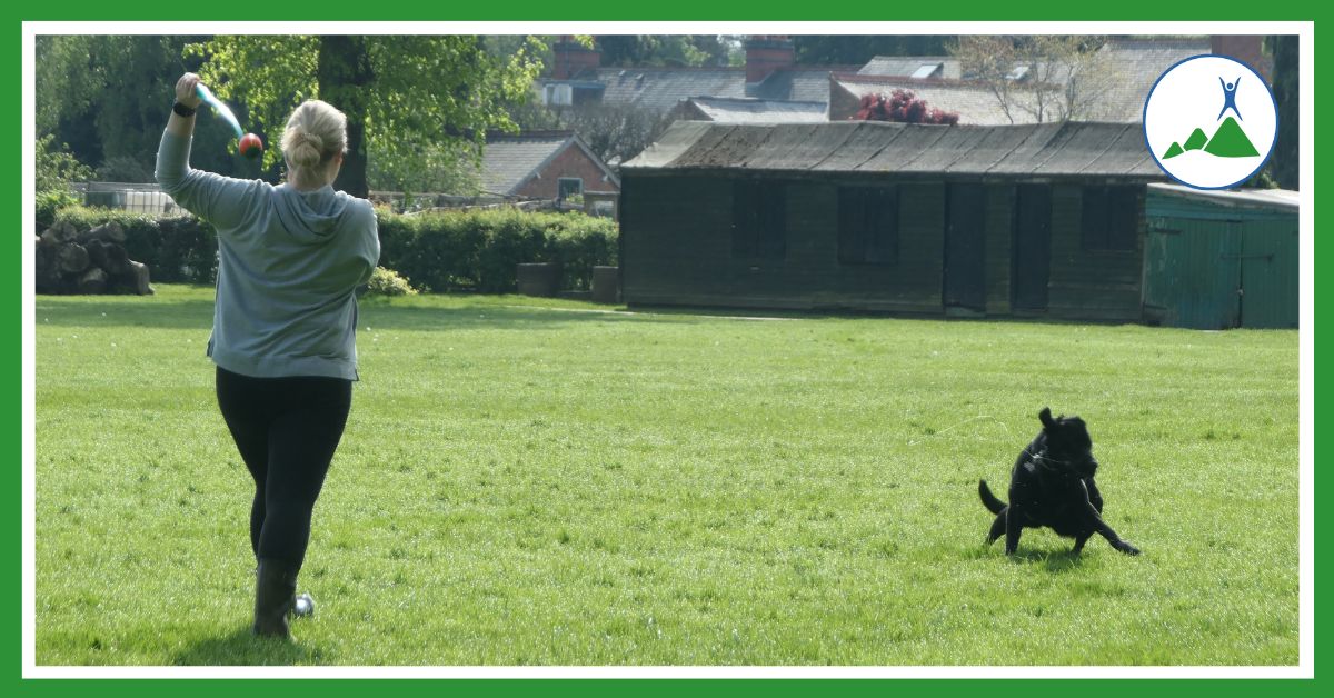 Moments for movement: lady playing with dog in park
