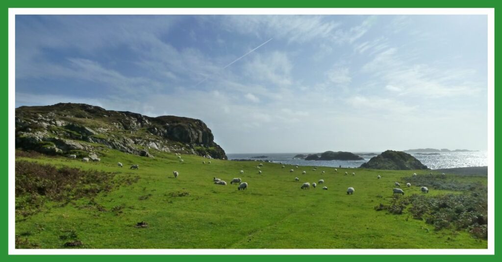 The peace of Iona: a view of Columba's bay