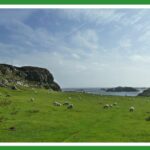 The peace of Iona: a view of Columba's bay