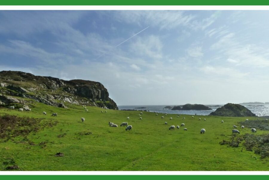 The peace of Iona: a view of Columba's bay