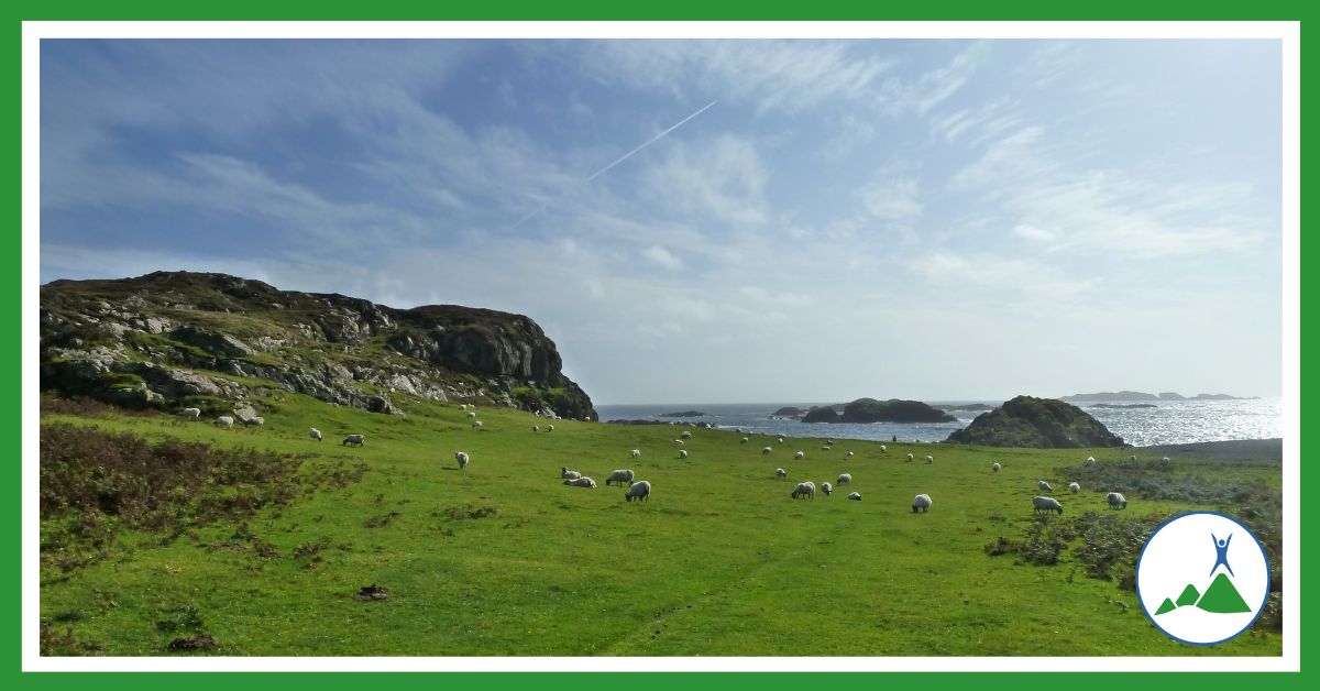 The peace of Iona: looking towards Columba's Bay