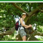 Trees are God's adventure playground (Susan up a tree)