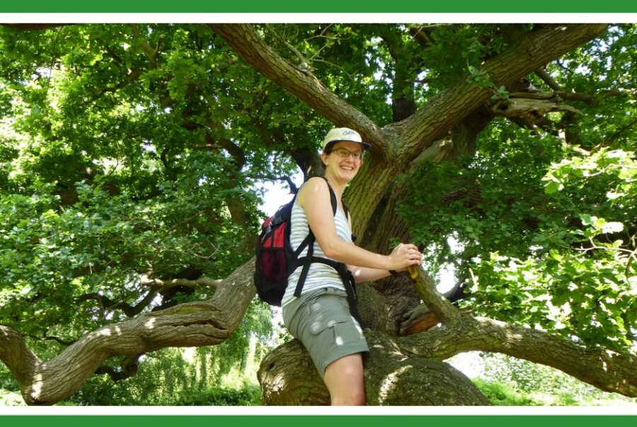 Trees are God's adventure playground (Susan up a tree)