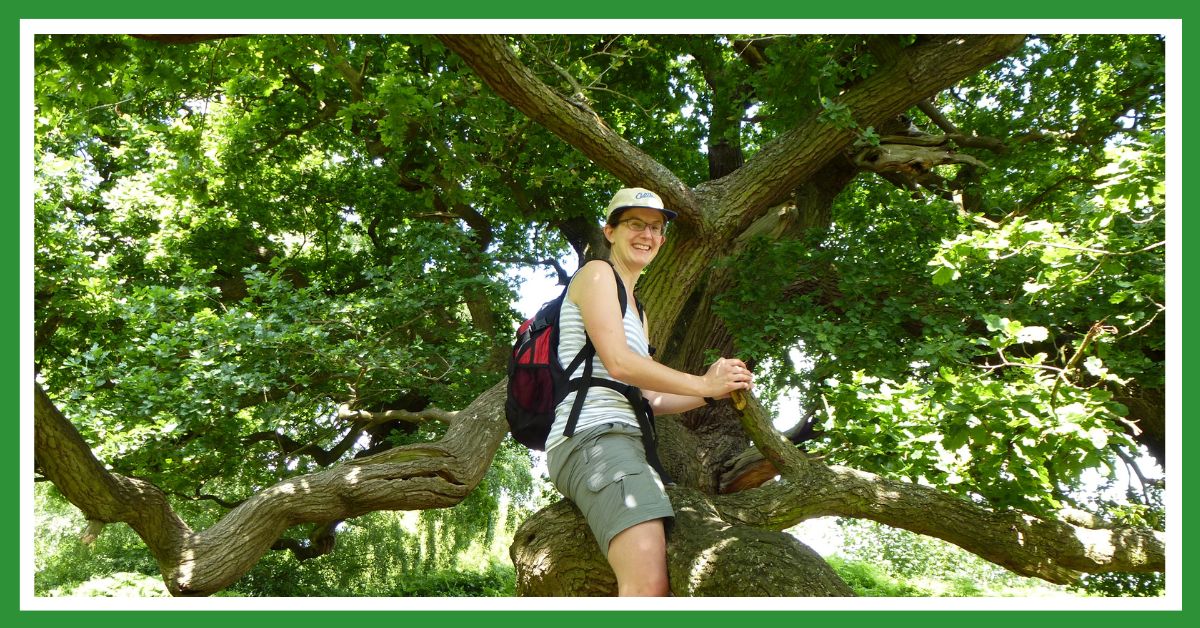 Trees are God's adventure playground (Susan up a tree)