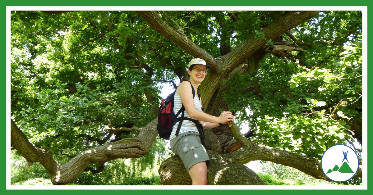 Trees God's Adventure playground (Susan in a tree)